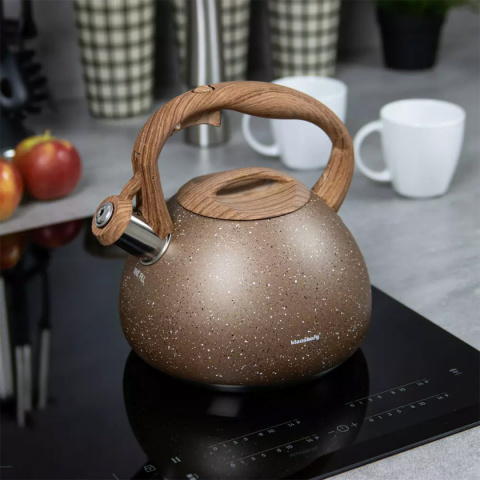 KETTLE WITH WHISTLE 2,8L KLAUSBERG KB-7510