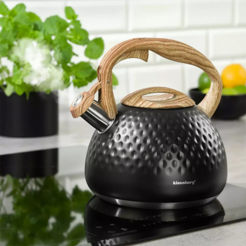 KETTLE WITH WHISTLE 2,8L KLAUSBERG KB-7562