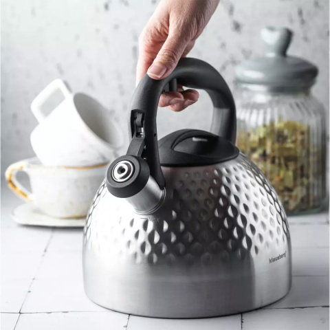 KETTLE WITH WHISTLE 3L KLAUSBERG KB-7642