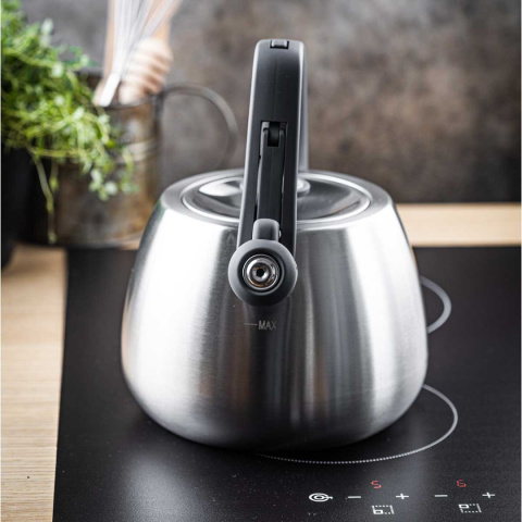 KETTLE WITH WHISTLE 2,5L KLAUSBERG KB-7773