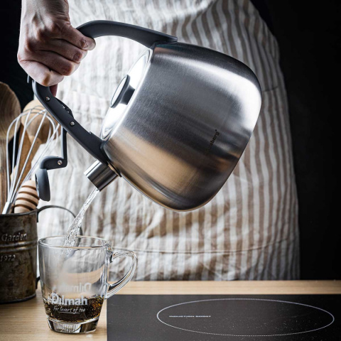 KETTLE WITH WHISTLE 2,5L KLAUSBERG KB-7773