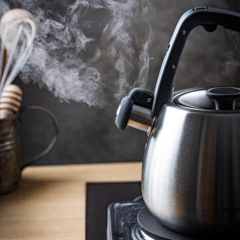 KETTLE WITH WHISTLE 2,5L KLAUSBERG KB-7773