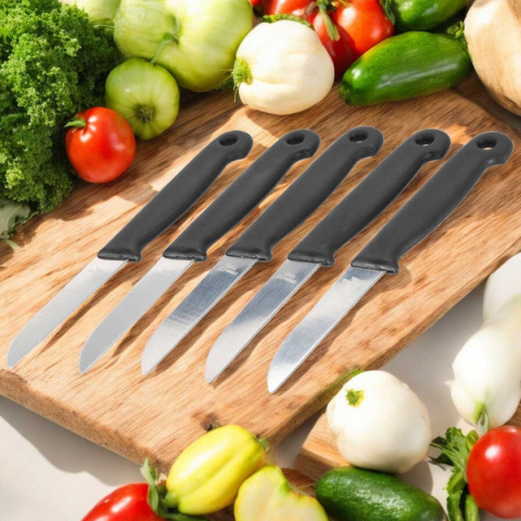 ZESTAW 5 NOŻY DO OBIERANIA WARZYW I OWOCÓW 259405