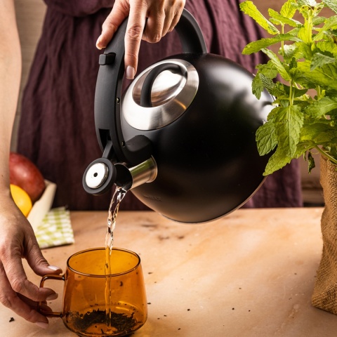 CZAJNIK STALOWY Z GWIZDKIEM 2,5L KLAUSBERG KB-7911