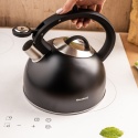 CZAJNIK STALOWY Z GWIZDKIEM 2,5L KLAUSBERG KB-7911