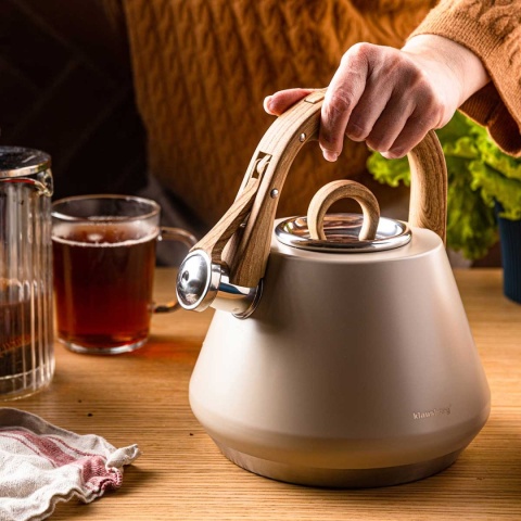 CZAJNIK STALOWY Z GWIZDKIEM 2,5L KLAUSBERG KB-7950 BEŻOWY