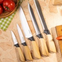 ZESTAW NOŻY KUCHENNYCH W BLOKU KLAUSBERG KB-9035
